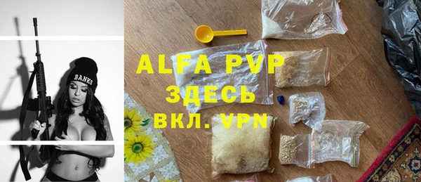 apvp Няндома