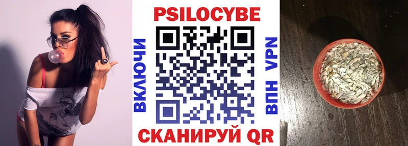 Купить  Алейск  Галлюциногенные грибы Psilocybine cubensis 