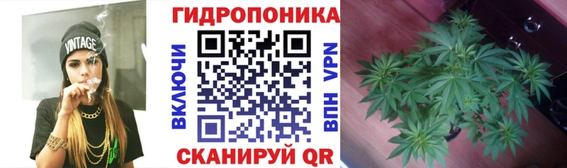 Конопля Ganja  Купить закладки  Алейск 